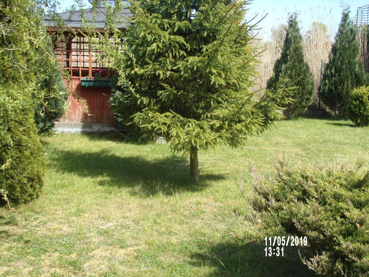 Villa Iwona Grzybowo  Exterior foto